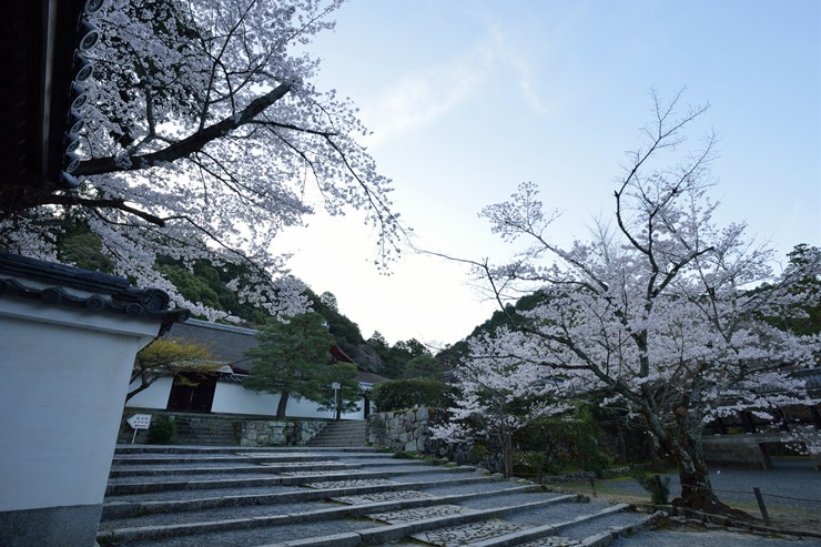 f0222161_103625.jpg