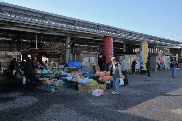 Day2-1・知多半島の東海岸をBromptonで南下_c0081462_2055305.jpg