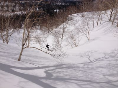 北海道3日目☆ ピーカン 旭岳 !_c0151965_16482322.jpg