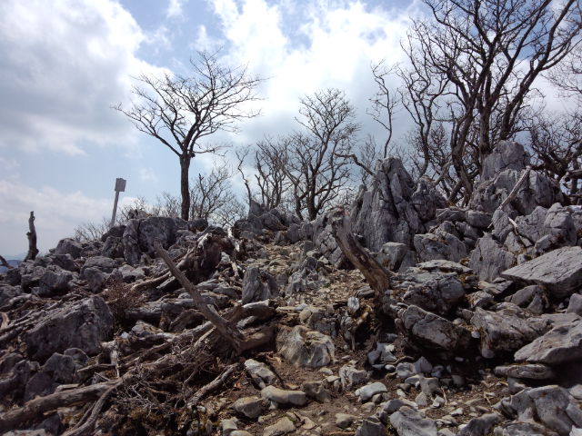 【 カレンフェルトの広がる大地を歩く 】_f0202271_284292.jpg