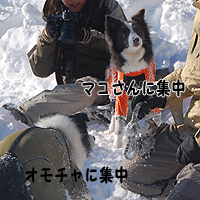 ワカサギ釣りin檜原湖　_f0047777_16504872.jpg