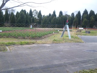 f0200477_2182381.jpg