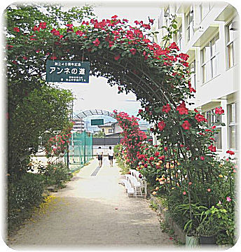 b0032380_18223738.jpg
