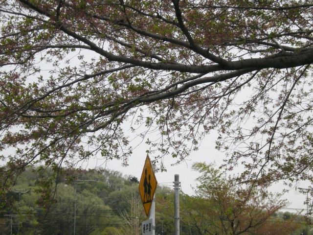 f0063887_2391014.jpg