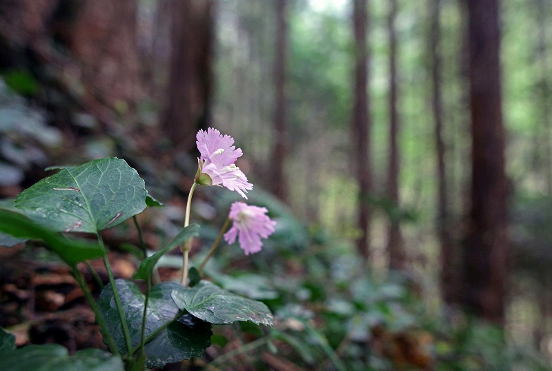 f0000789_2121762.jpg