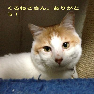 甘ちゃんが！_a0164292_136571.jpg