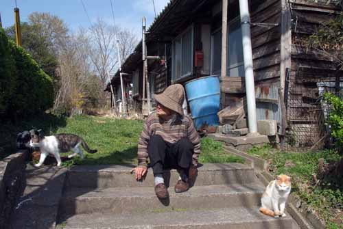 炭住の猫_f0173596_8111324.jpg