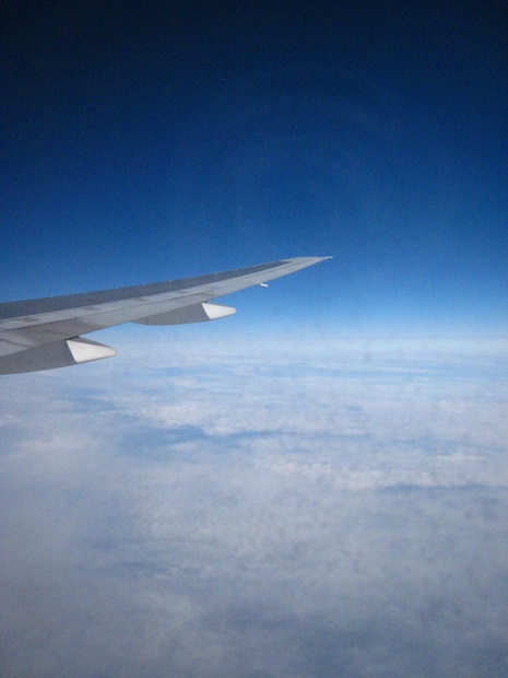 f0038904_0492029.jpg