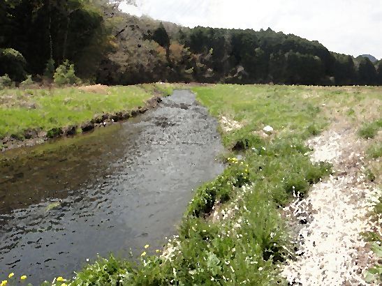 b0172805_10184498.jpg