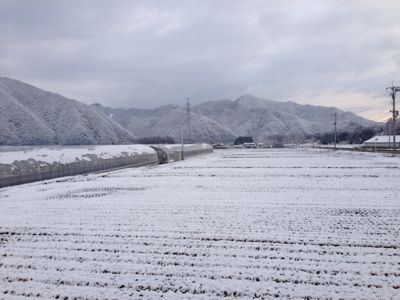 げっ!冬に逆戻り?_d0099708_19194144.jpg