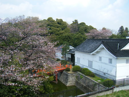 f0225108_1864045.jpg