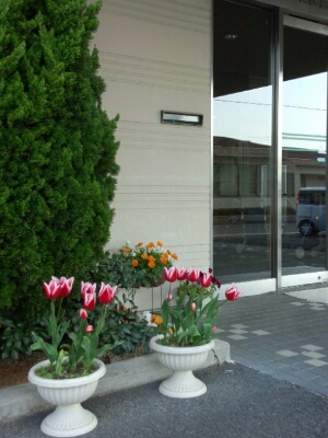 a0160509_843290.jpg