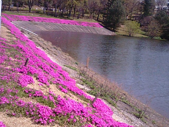f0231709_8404441.jpg
