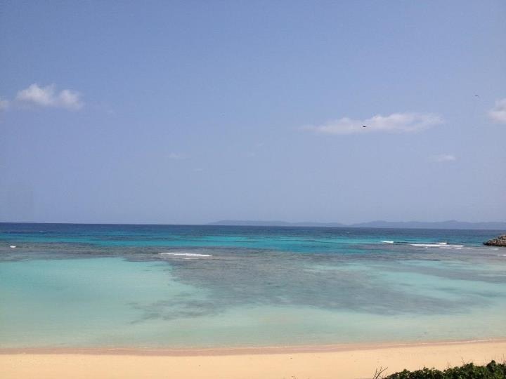 b0176010_17292862.jpg