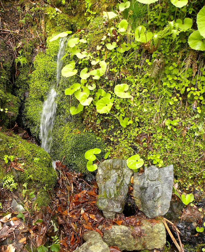 c0078410_0503820.jpg