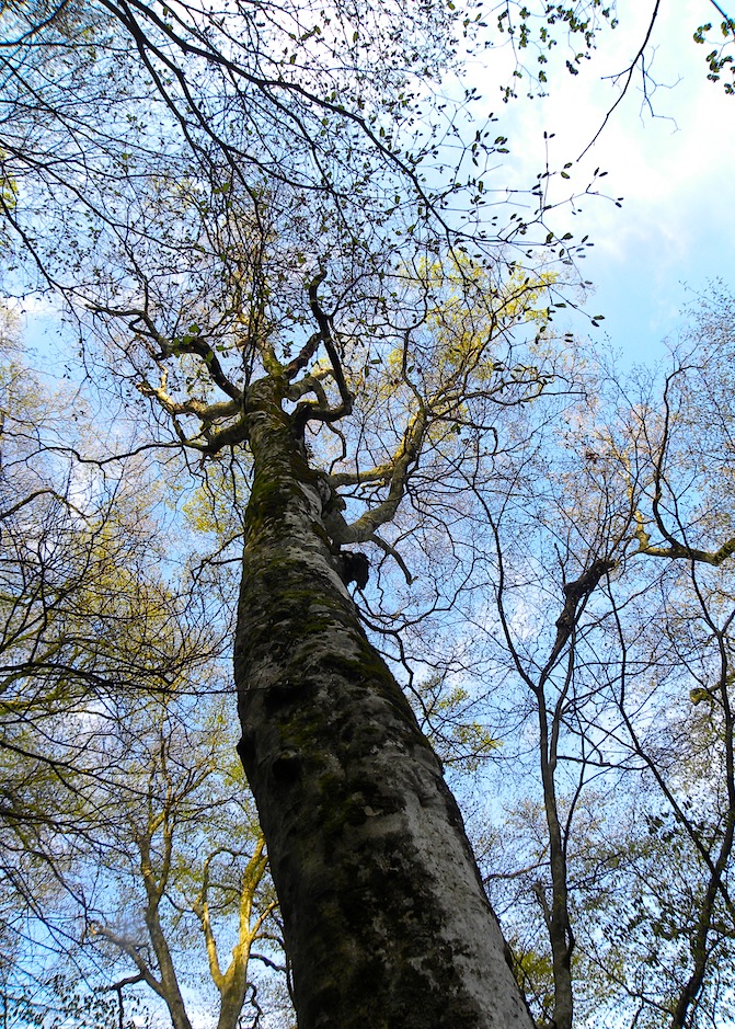 c0078410_182953.jpg
