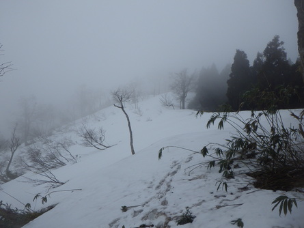 氷ノ山の近況！　【４月１１日】_f0101226_2123163.jpg