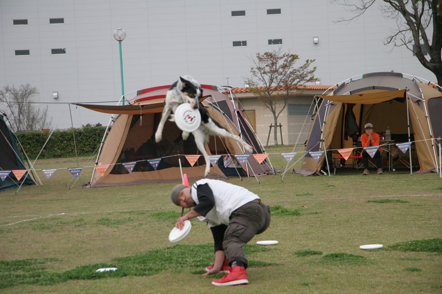 鳥栖大会の・・・おまけ。　またまためちゃめちゃ長いです笑）_d0037627_1023284.jpg