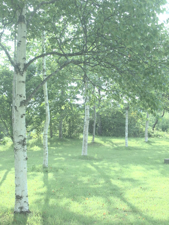 c0242130_10564428.jpg