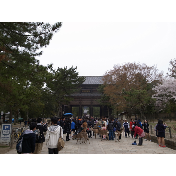 春休み奈良へ行く『東大寺』編_e0131432_10433975.jpg