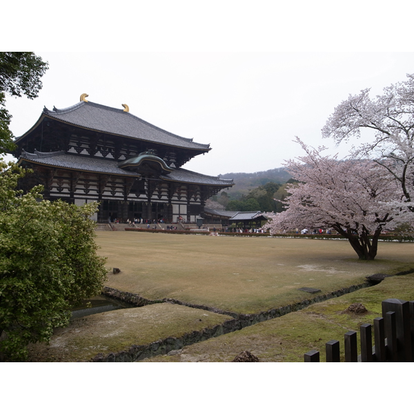 春休み奈良へ行く『東大寺』編_e0131432_10434811.jpg