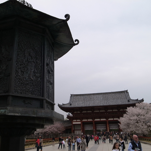 春休み奈良へ行く『東大寺』編_e0131432_10441085.jpg