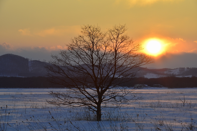 サロマ湖　夕景_f0050534_132064.jpg