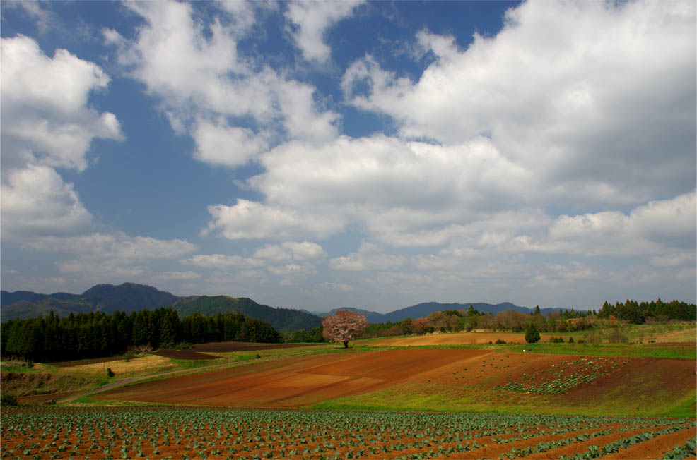 南部町／晴れの丘_f0227938_20315499.jpg