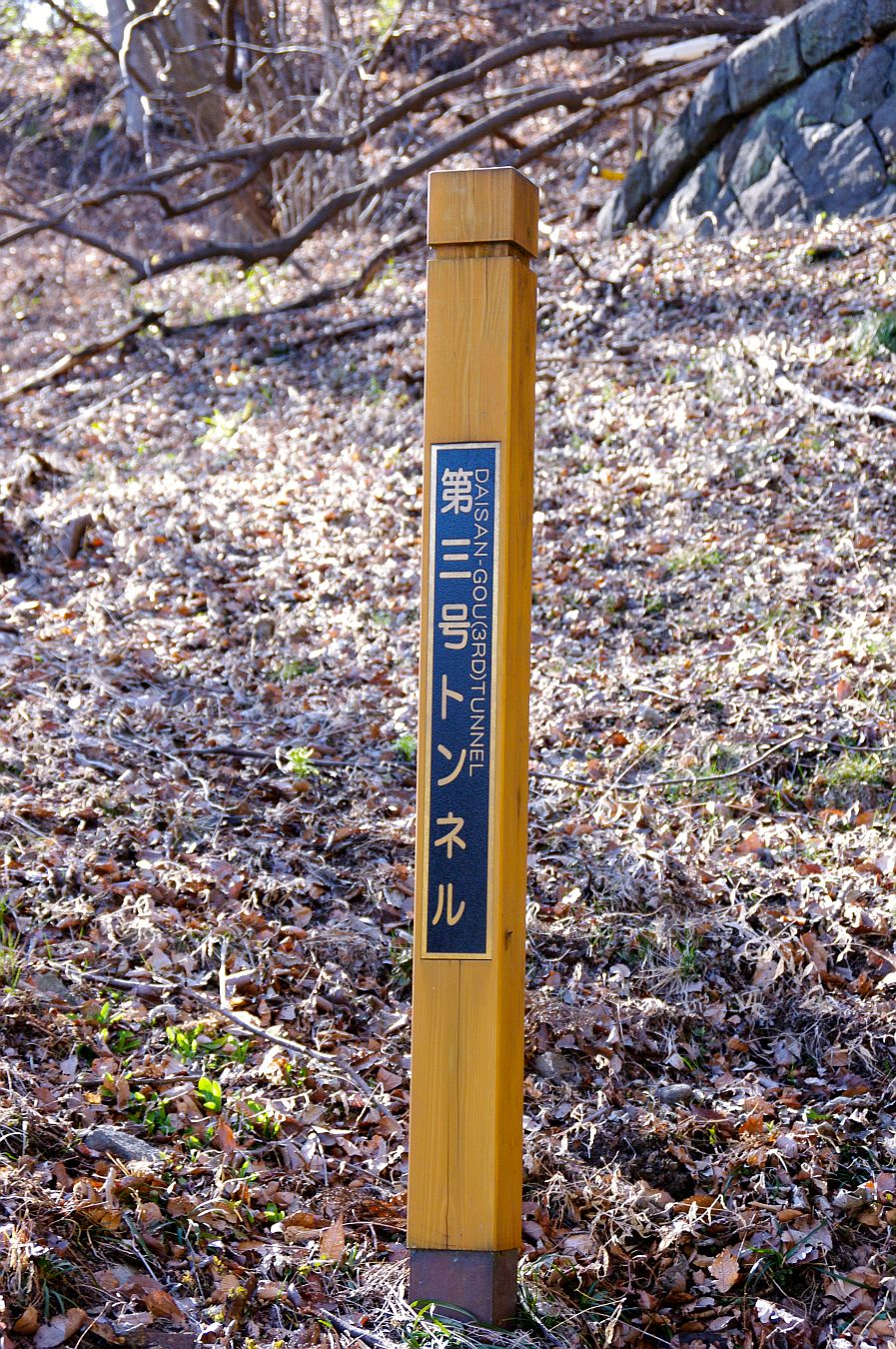 b0212342_84685.jpg