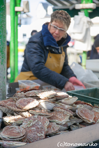 海沿いのマルシェの魚たち_c0024345_4523422.jpg