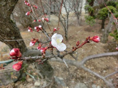 下見の苦労?_f0019247_1324120.jpg