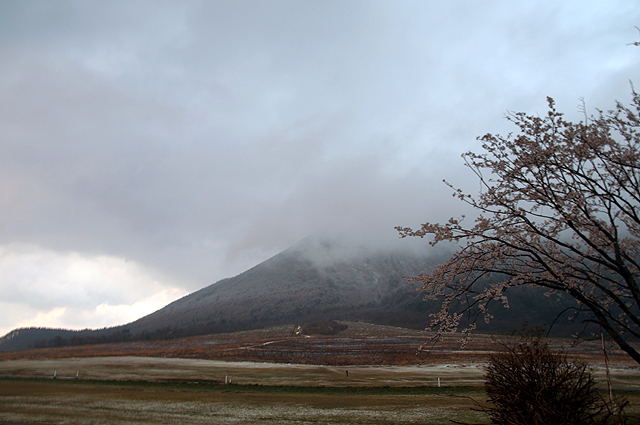 思わぬ雪の三瓶山②_f0214649_5314346.jpg