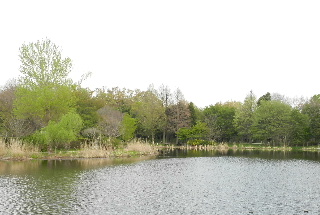 e0172950_20483356.jpg