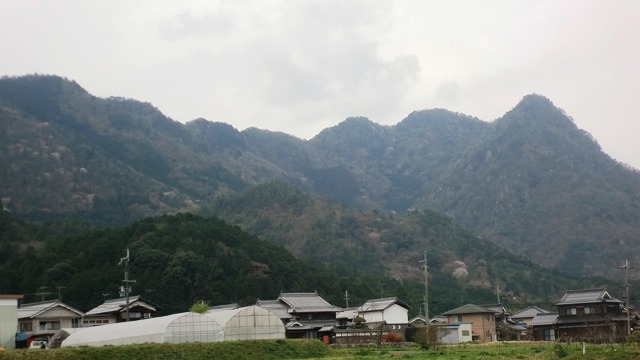三尾山_b0227552_15162253.jpg