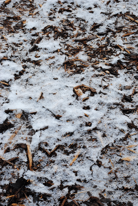 a0001354_2026470.gif