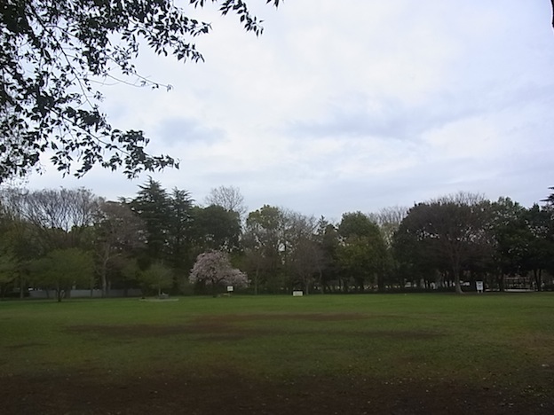 c0113755_1431336.jpg