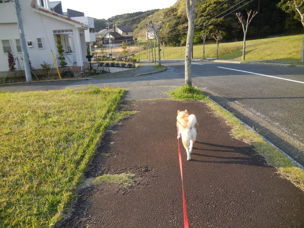 ’13,4,11(木)スワッ!久しぶりのバトル~!_f0060461_20504650.jpg