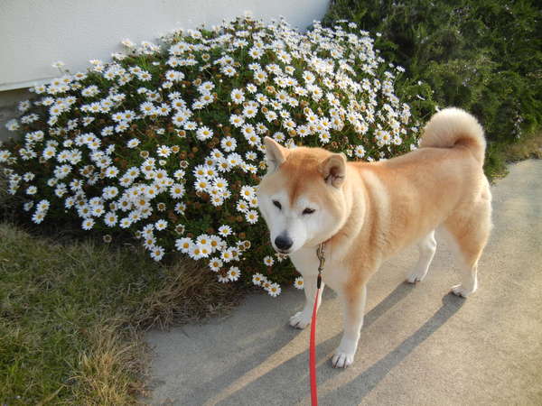 ’13,4,11(木)スワッ!久しぶりのバトル~!_f0060461_2054324.jpg