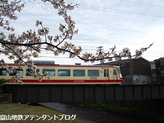 ありがとう!冬ダイヤ_a0243562_143335.jpg