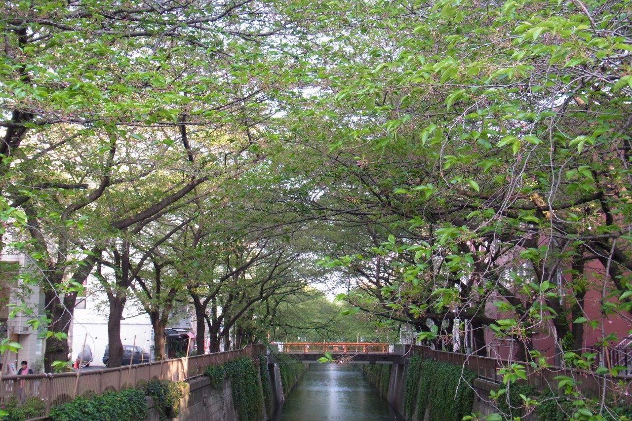 a0123465_2348651.jpg
