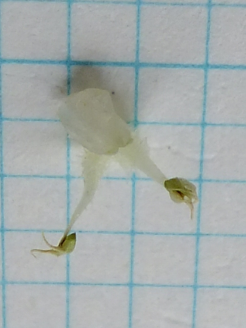 e0145782_2114913.jpg