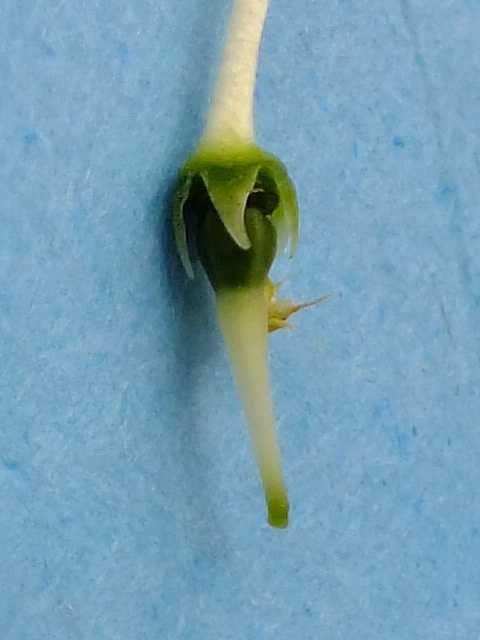 e0145782_2122350.jpg