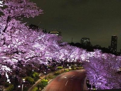 e0206490_2315726.jpg