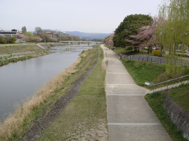 京都に恋！して！京都に住みたい！夢見る！シニア!アハハハーー。_d0060693_20542951.jpg