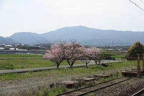 ２０１３日豊本線・築城駅から筑豊本線の桂川駅までの旅・千寿の楽しい歴史_a0137997_8442360.jpg