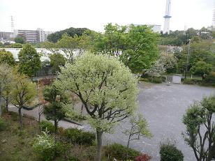 b0061798_9394319.jpg