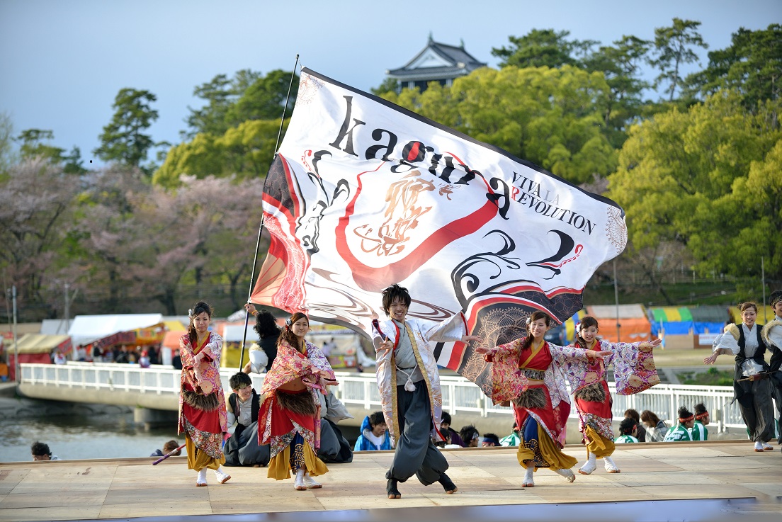 第８回　どまつり夜桜in岡崎_f0184198_22434432.jpg