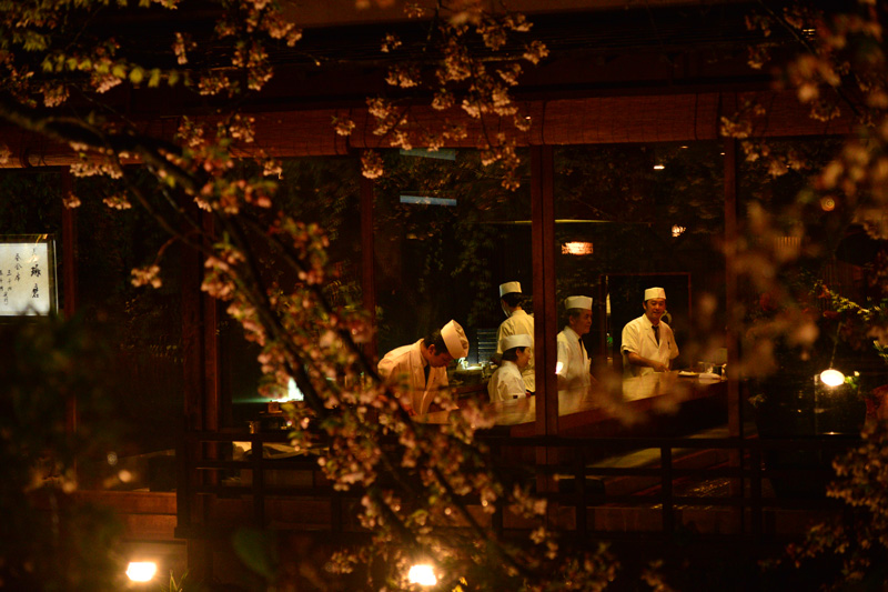 京都桜紀行　その6　夜の祇園白川南通り_e0153701_22281860.jpg