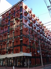 大阪心斎橋でカピパラに会う!_a0267202_2321277.jpg
