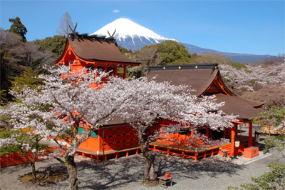 浅間神社の桜_a0188405_10204410.jpg